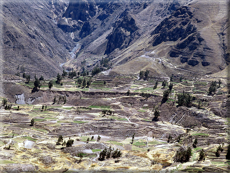 foto Canyon del Colca